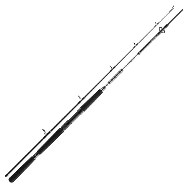 Canne Daiwa BG Offshore Boat