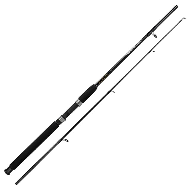 Canne composite en deux brins Fishdream Fiber Spinning Spezial