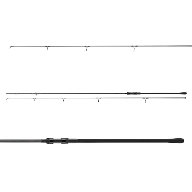 Canne DAIWA Black Widow XT Carp en deux brins à grand anneau de talon